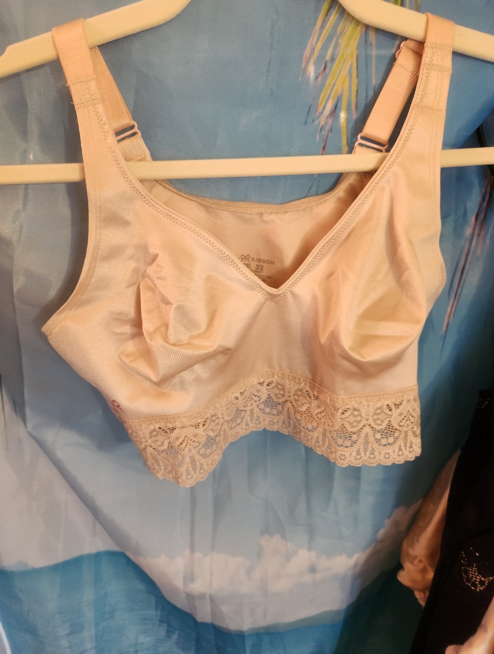 🆕️New Size 32 Ruby Ribbon Lace Lux Demiette PALE